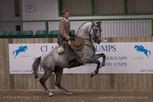 Lusitano Breed Society of Great Britain Show - Hartpury College - 27th June 2009